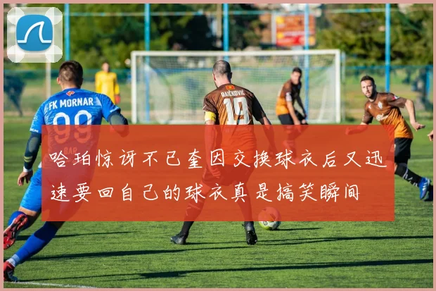 哈珀惊讶不已奎因交换球衣后又迅速要回自己的球衣真是搞笑瞬间