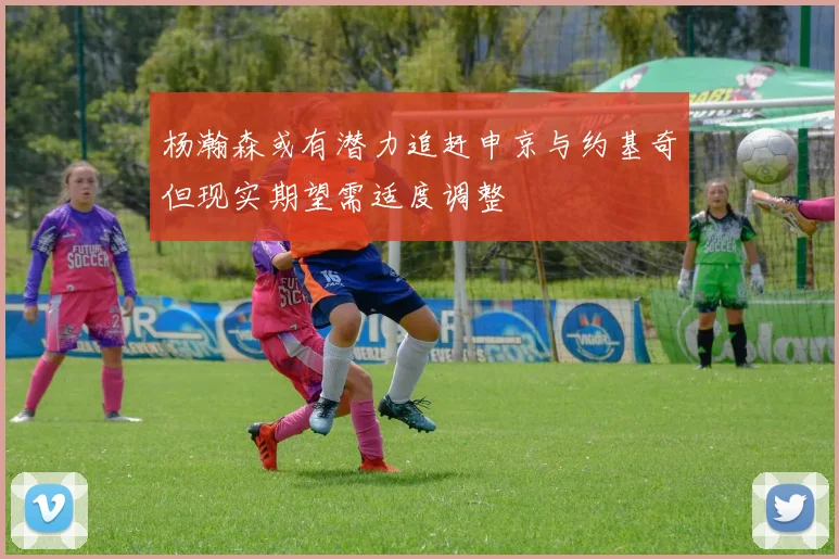 杨瀚森或有潜力追赶申京与约基奇但现实期望需适度调整