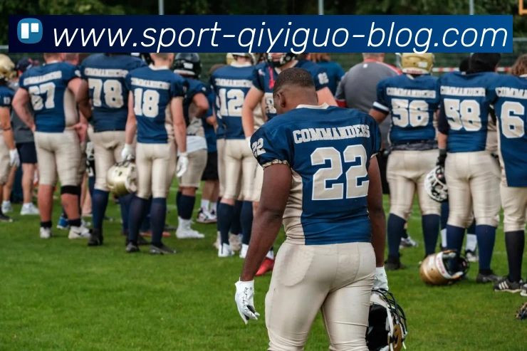 奇异果体育平台生态图